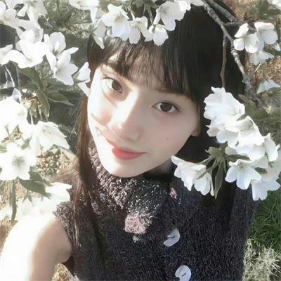 落花时节又逢君